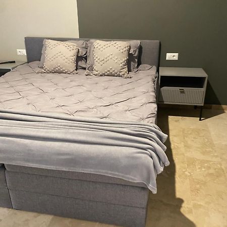 Apartamente Cu Un Dormitor Temeşvar Dış mekan fotoğraf
