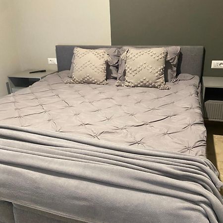 Apartamente Cu Un Dormitor Temeşvar Dış mekan fotoğraf