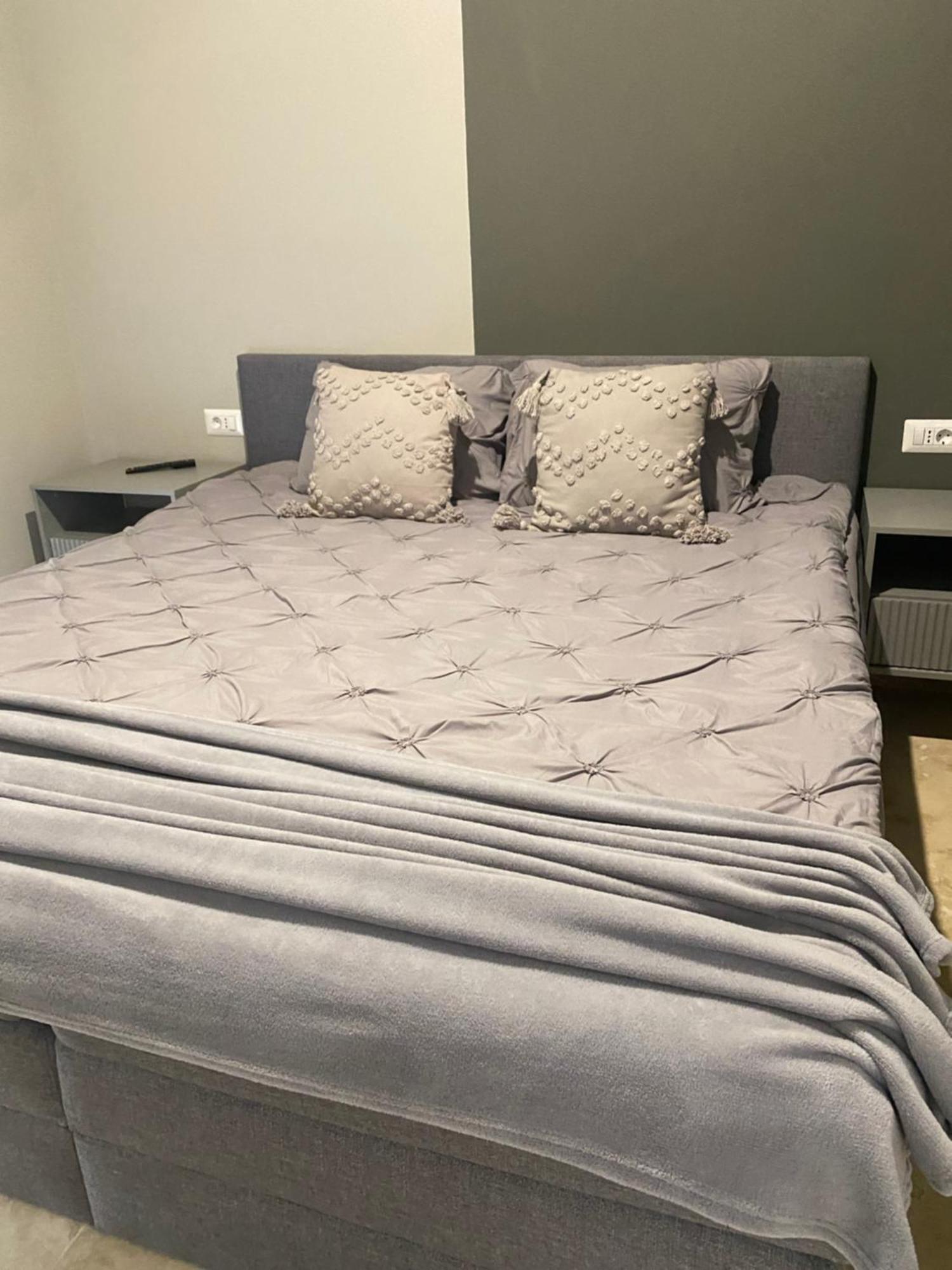 Apartamente Cu Un Dormitor Temeşvar Dış mekan fotoğraf